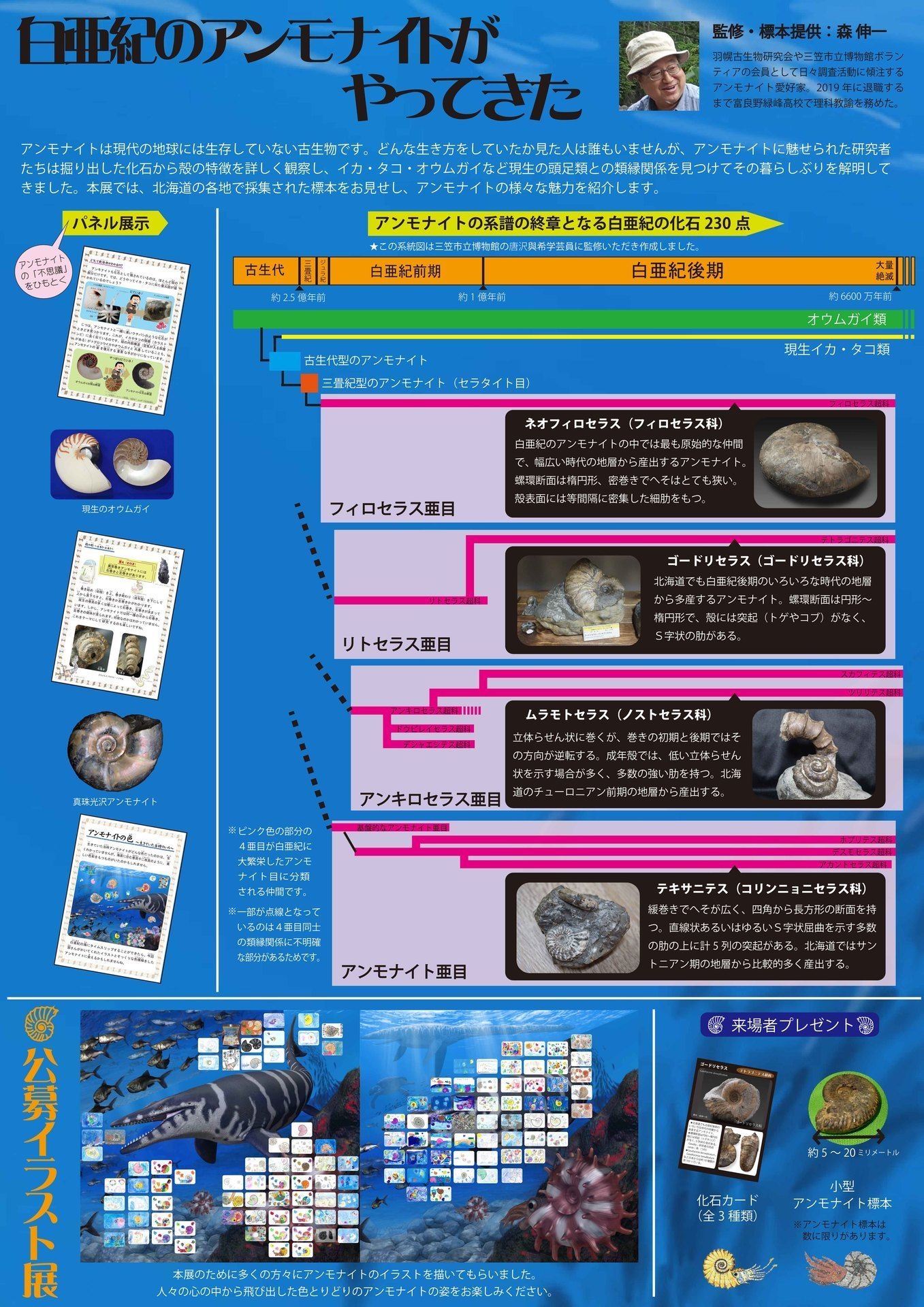 展示の紹介 前半: 北海道＠アンモナイト日記