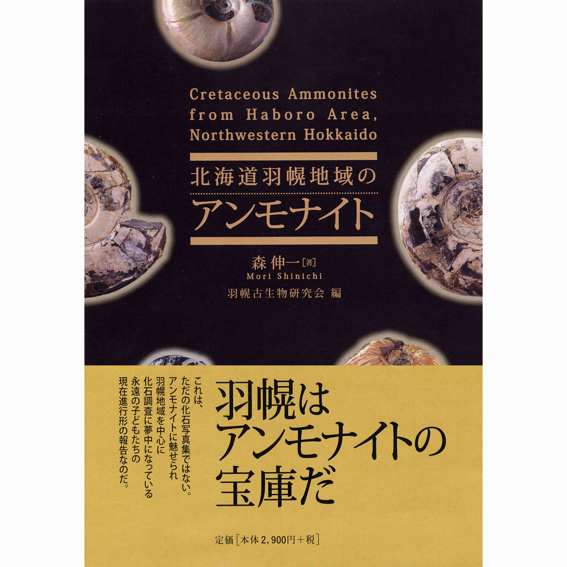 第２４回 札幌ミネラルショー & 三笠市立博物館 特別展: 北海道＠アンモナイト日記