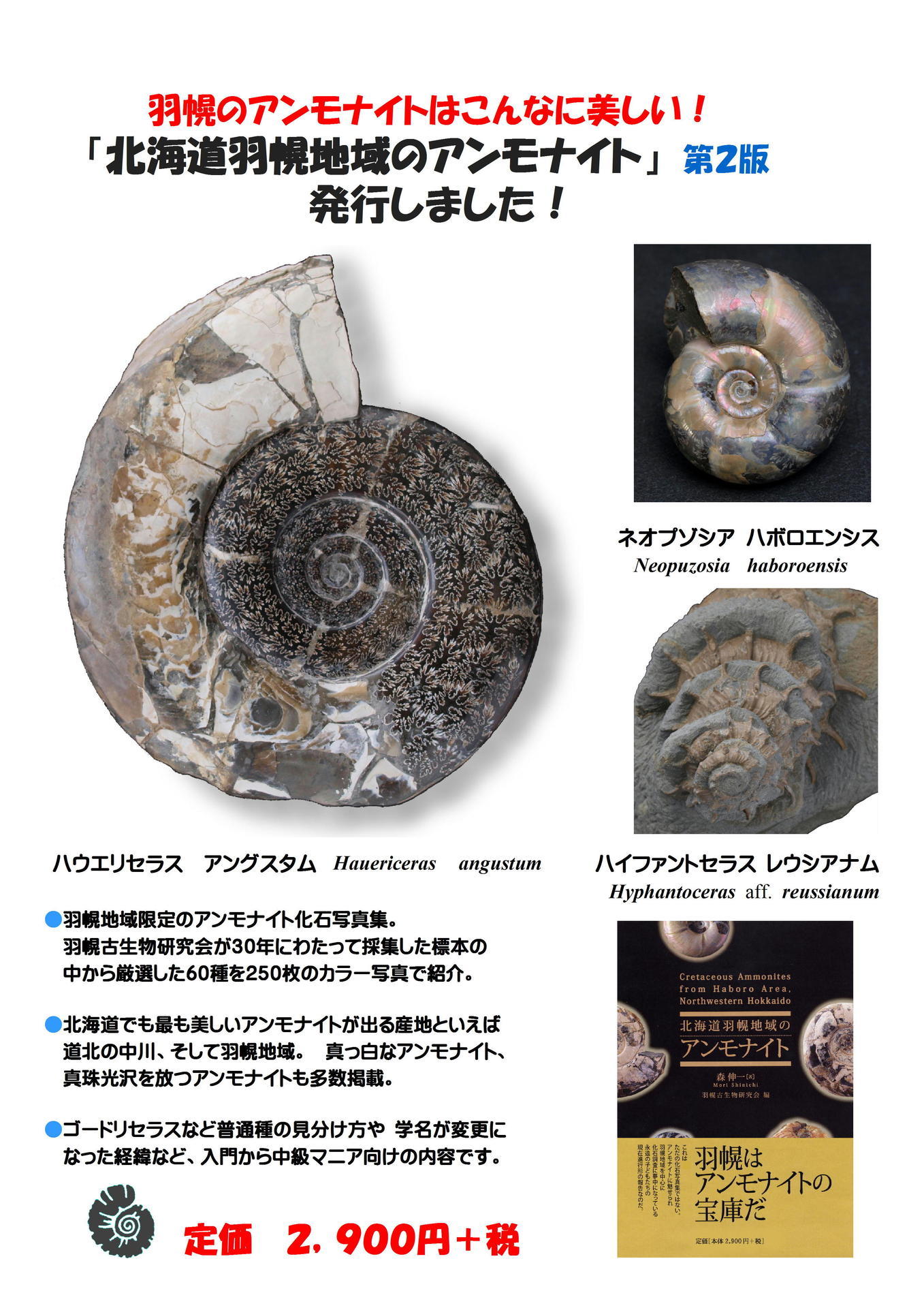 貴重】 世界の異常巻きアンモナイト化石の写真集 『Heteromorph 