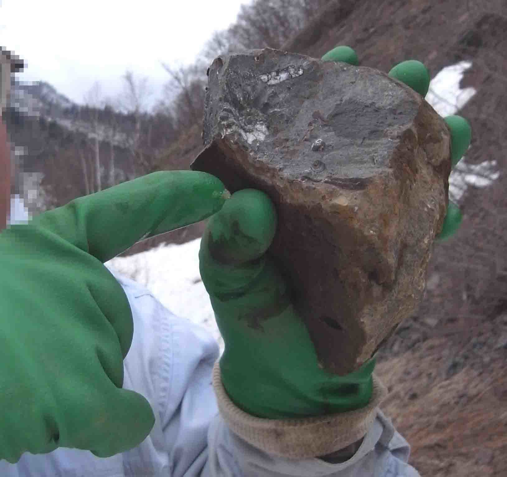 マンテリセラスの産出状況 ２つ: 北海道＠アンモナイト日記