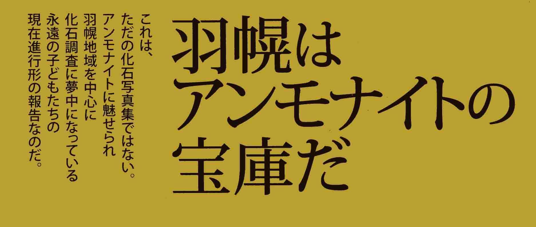 ユウパキディスカス・ラムベルチ Eupachydiscus aff. lamberti: 北海道＠アンモナイト日記