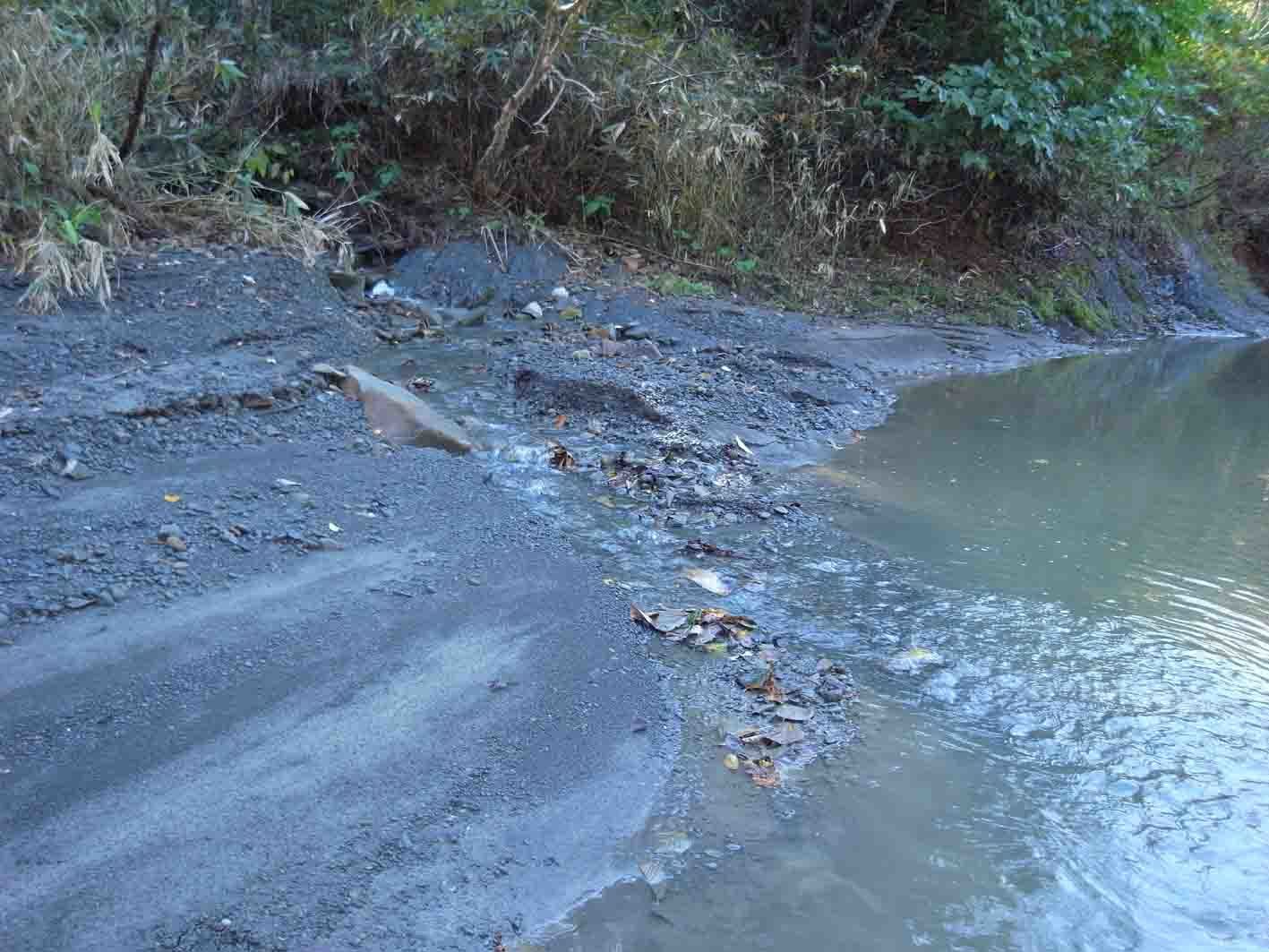 えーーっ！ 本当？？ ユウバリセラスをついにゲット: 北海道＠アンモナイト日記