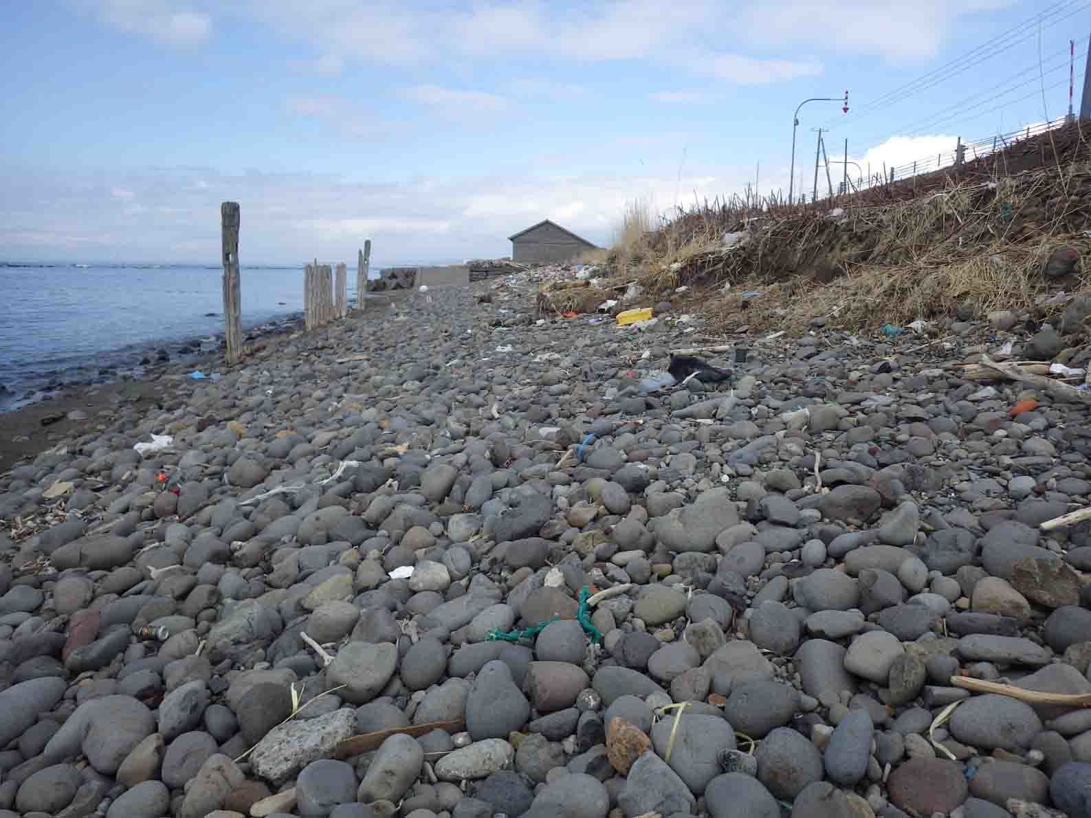 シーグラスの穴場発見: 北海道＠アンモナイト日記