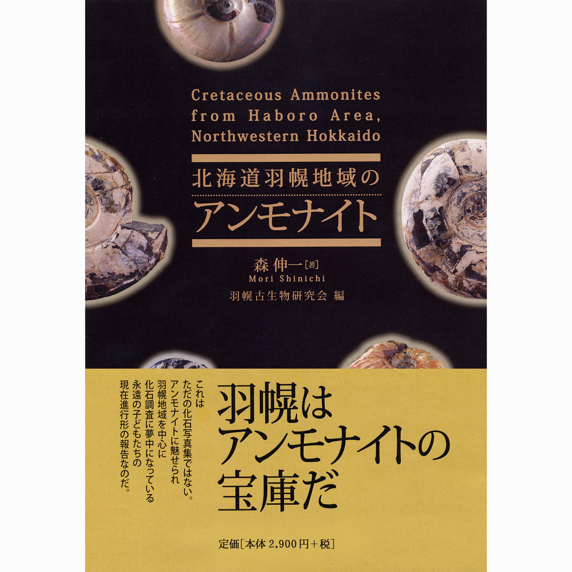 美しい わたくしとアンモナイト 北海道巡検の手引/道内化石展示室紹介 