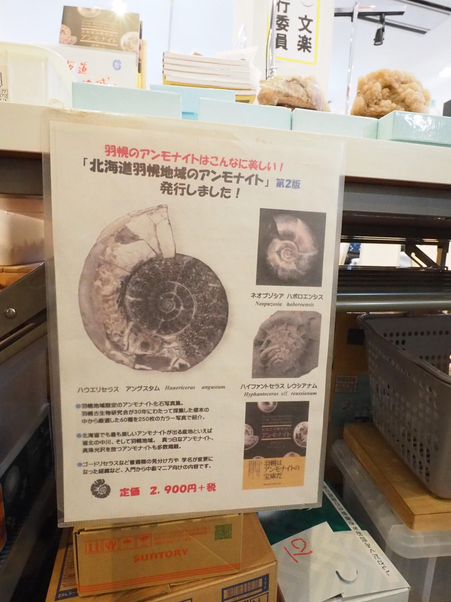 札幌ミネラルショー: 北海道＠アンモナイト日記