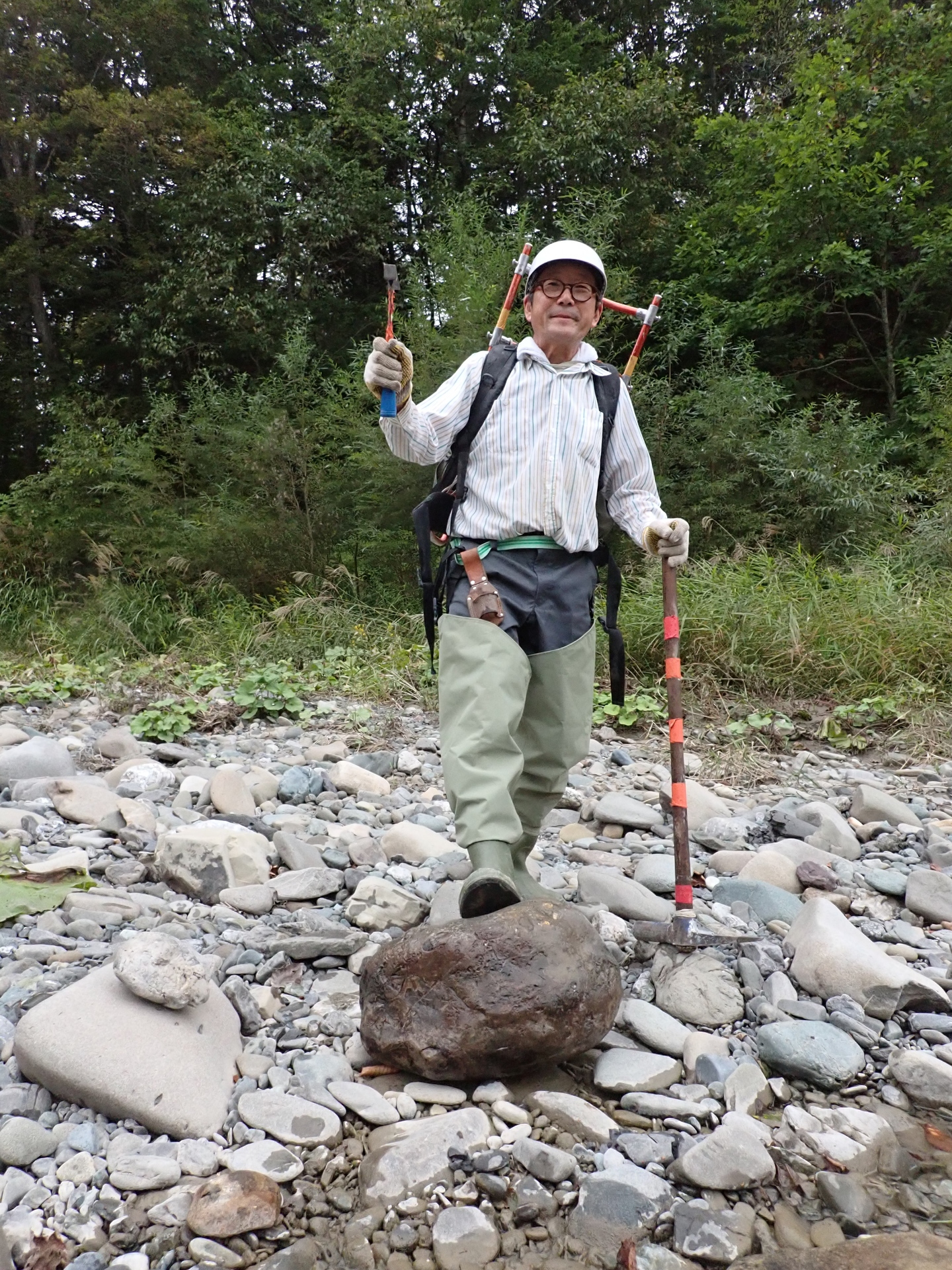 秋の本流 黒いユーパキディスカス・ハラダイ: 北海道＠アンモナイト日記