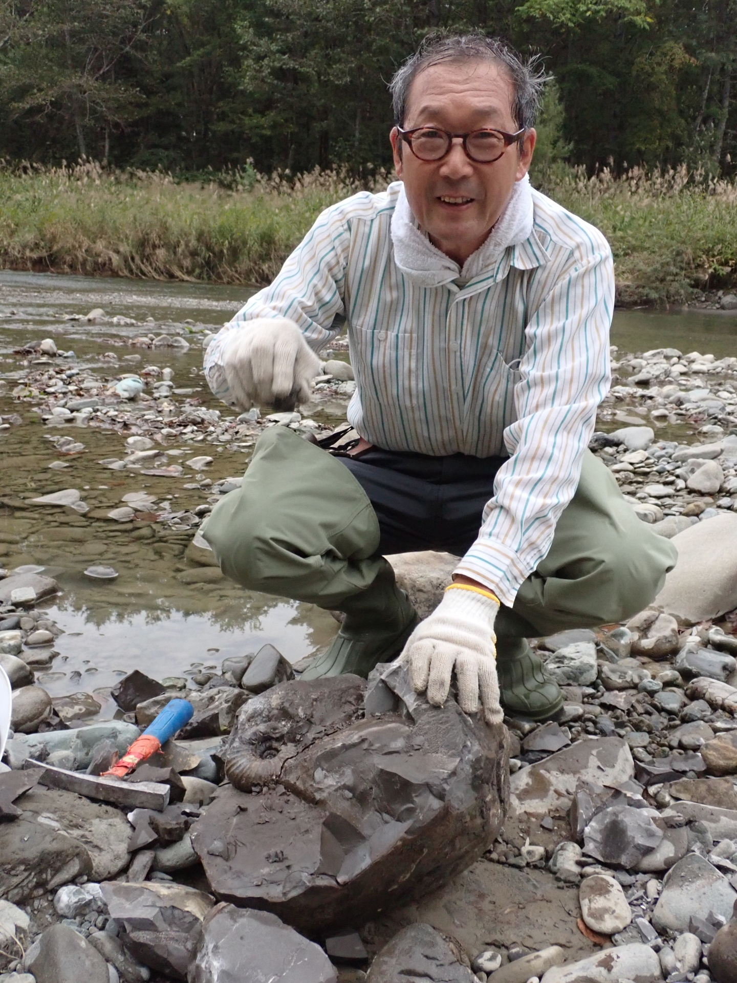 秋の本流 黒いユーパキディスカス・ハラダイ: 北海道＠アンモナイト日記