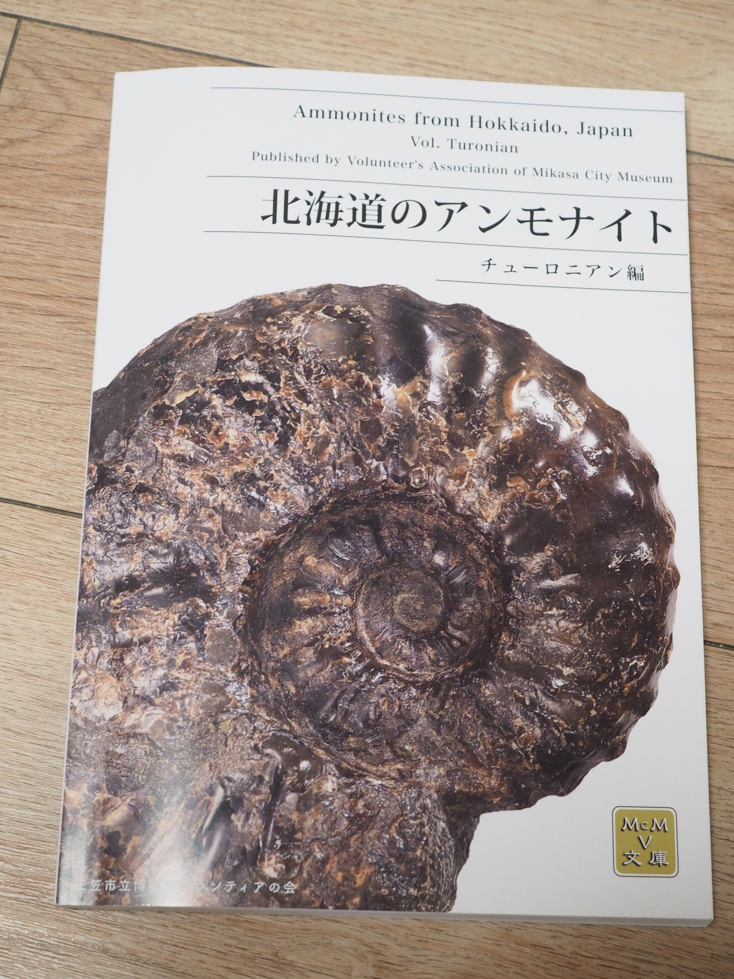 クリーニングした標本をさらにイジる・・・( ﾟДﾟ)；: 北海道